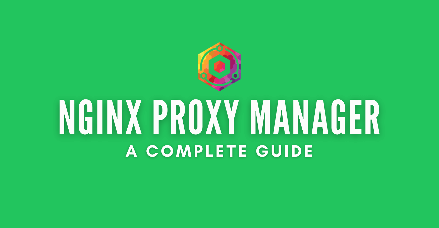 Nginx proxy manager