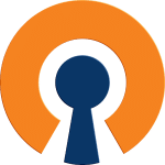 use a seedbox openvpn